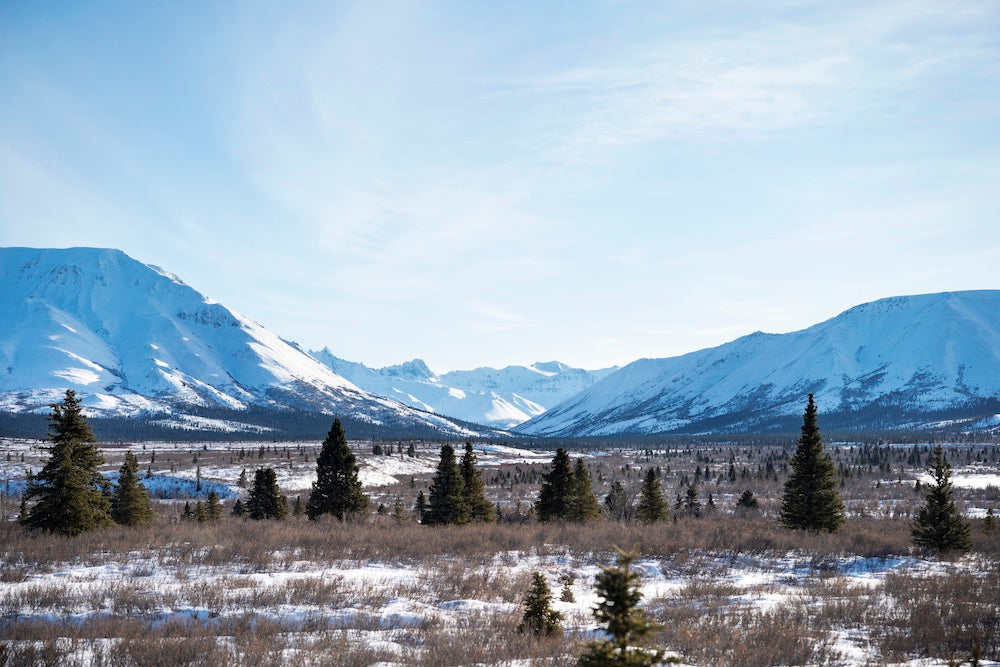 GLOBAL CLIMATE ACTION