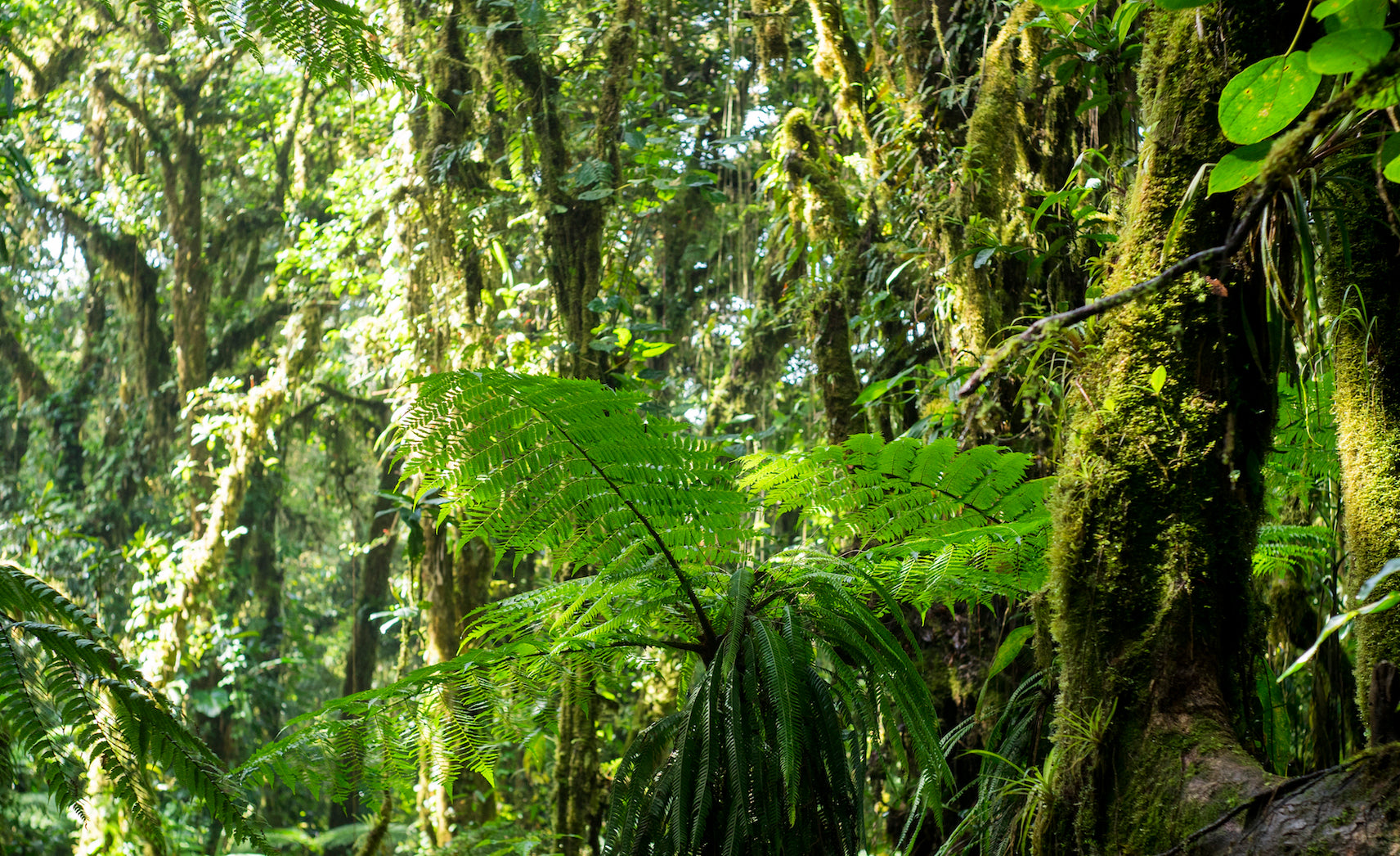 Spring 2018 Collection - Sneak Peek