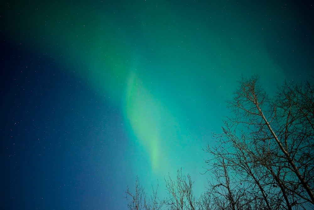 SUICOKE Fall/Winter 2019 Collection