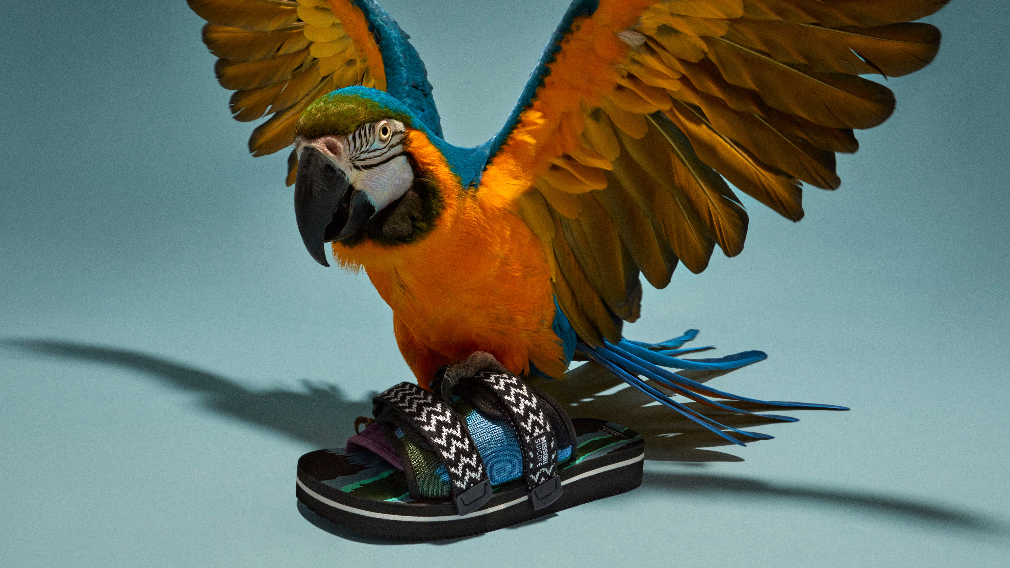 WALLPAPER: Your new summer sandals, care of Missoni’s first collaboration with Suicoke