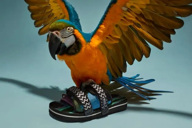 YAHOO! LIFE: Missoni’s Tie-up With Suicoke Suggests ‘Uncool’ Shoes Are Still Cool